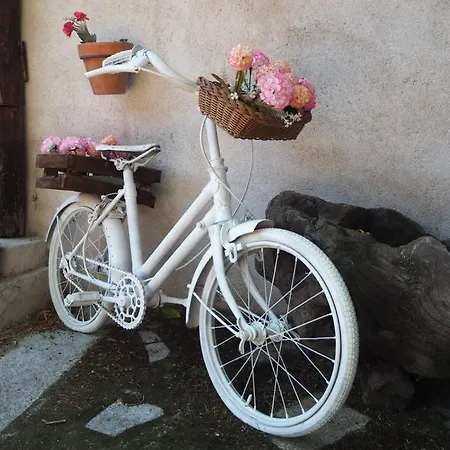 El Guindo カントリーハウス